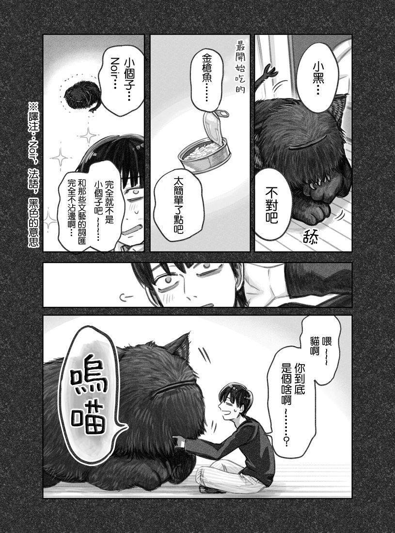我捡了一只猫韩漫全集-第01话无删减无遮挡章节图片 
