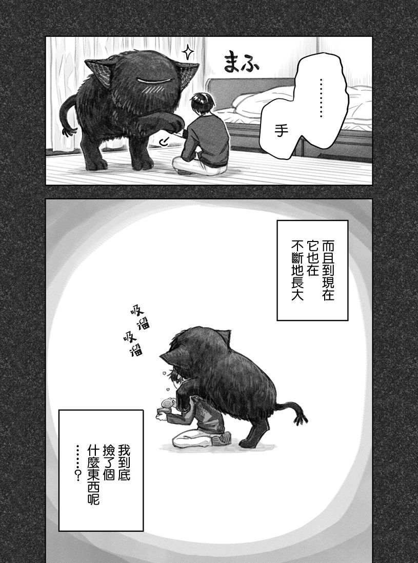 我捡了一只猫韩漫全集-第01话无删减无遮挡章节图片 