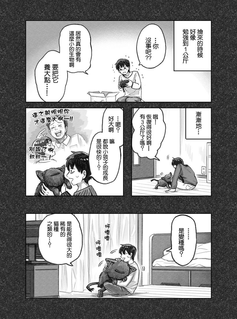 我捡了一只猫韩漫全集-第01话无删减无遮挡章节图片 