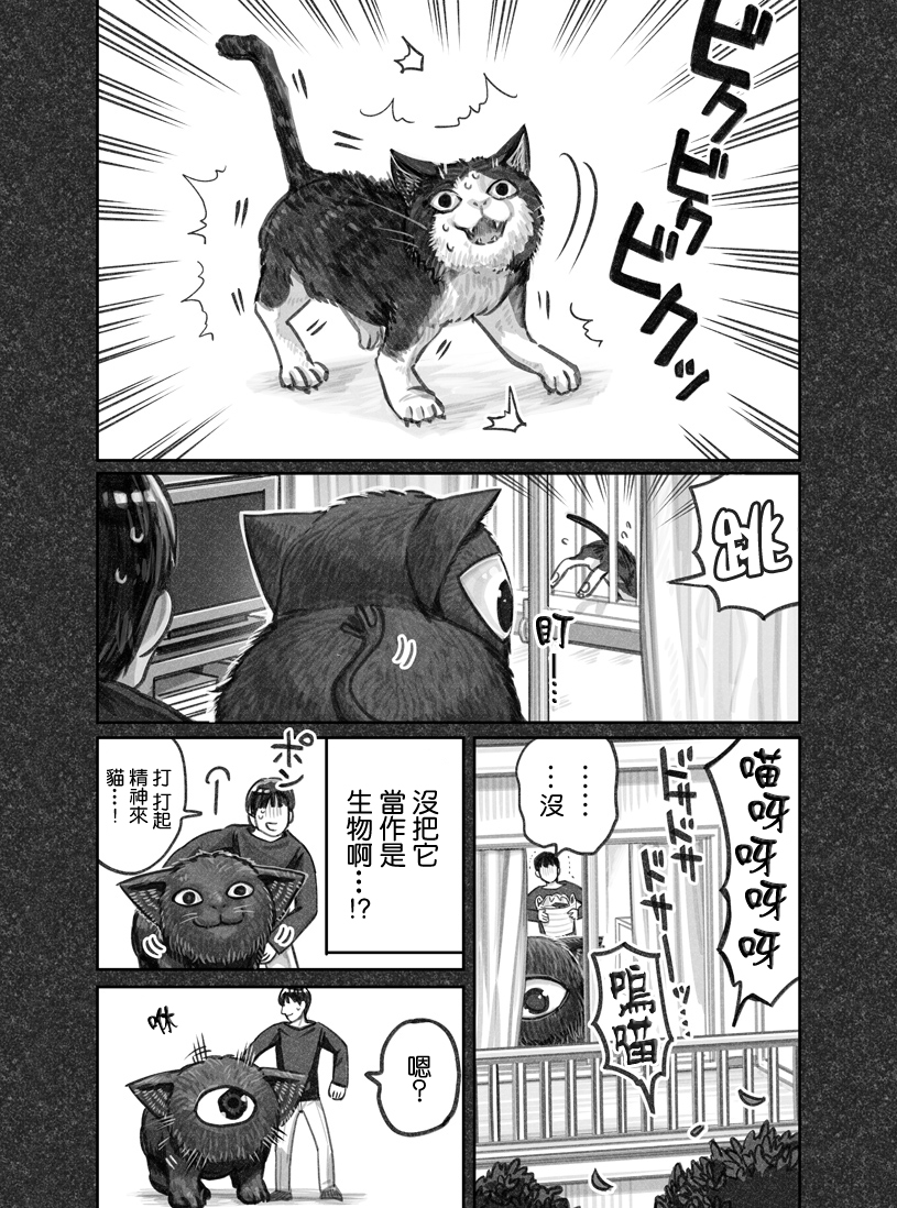 我捡了一只猫韩漫全集-第03话无删减无遮挡章节图片 