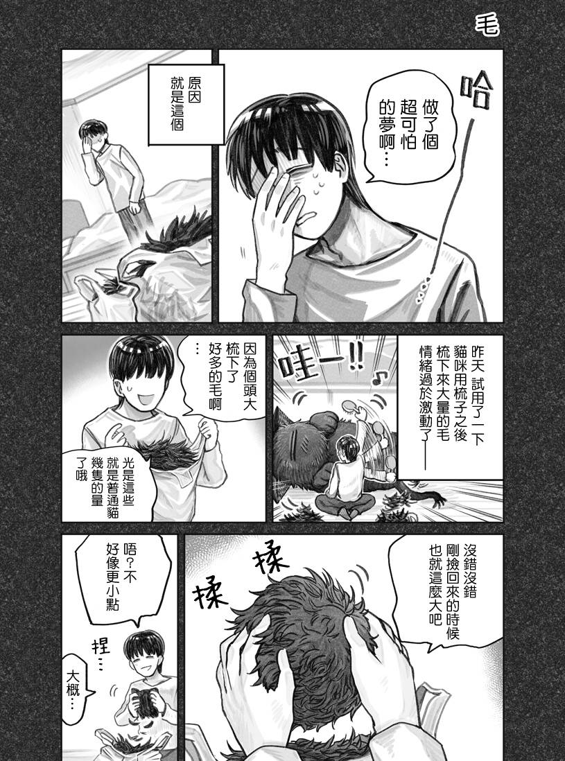我捡了一只猫韩漫全集-第06话无删减无遮挡章节图片 