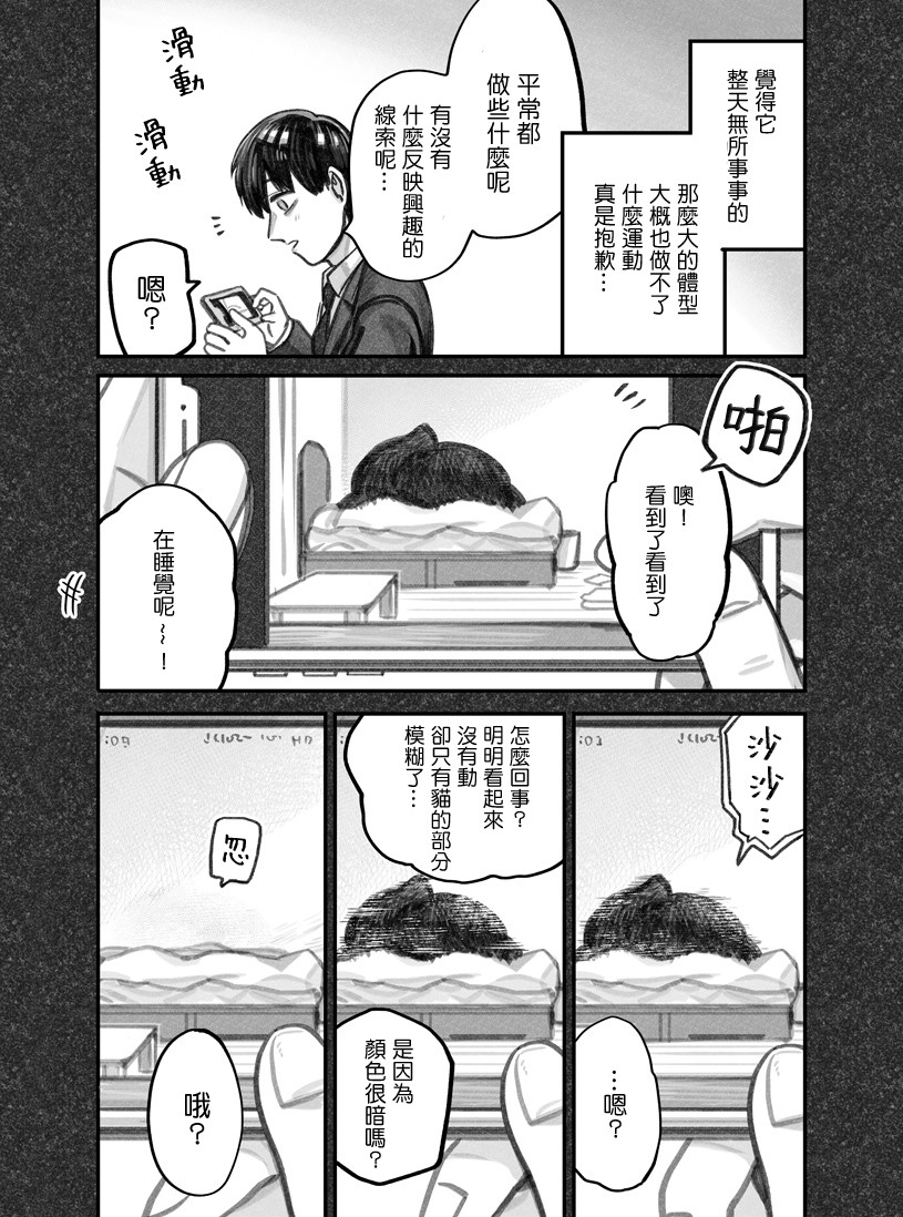 我捡了一只猫韩漫全集-第08话无删减无遮挡章节图片 