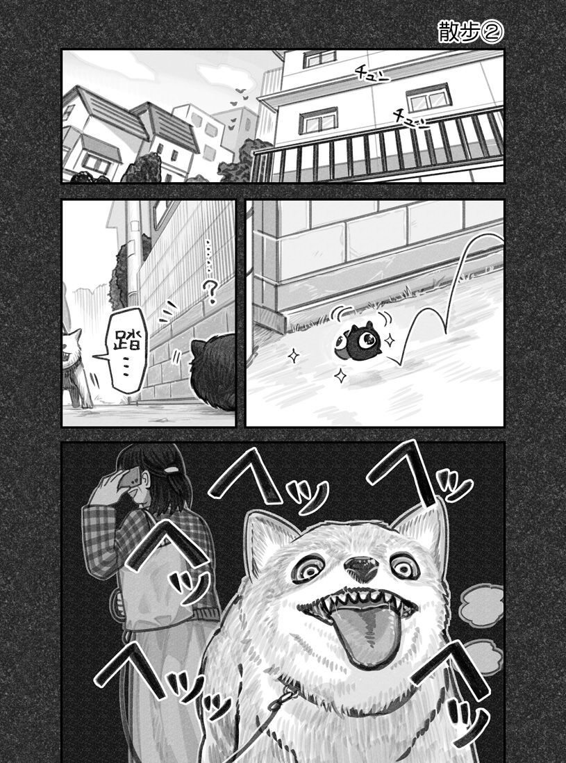 我捡了一只猫韩漫全集-第11话无删减无遮挡章节图片 