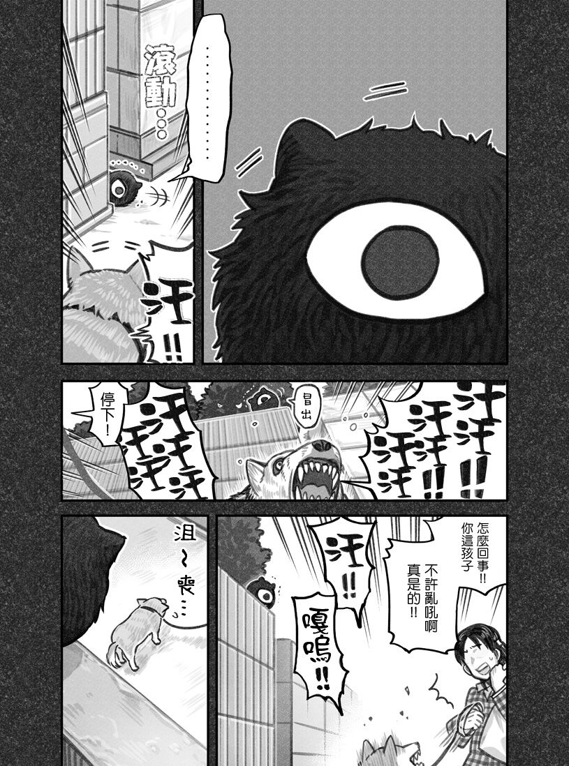 我捡了一只猫韩漫全集-第11话无删减无遮挡章节图片 