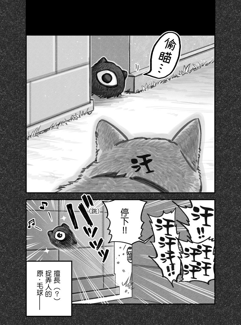 我捡了一只猫韩漫全集-第11话无删减无遮挡章节图片 