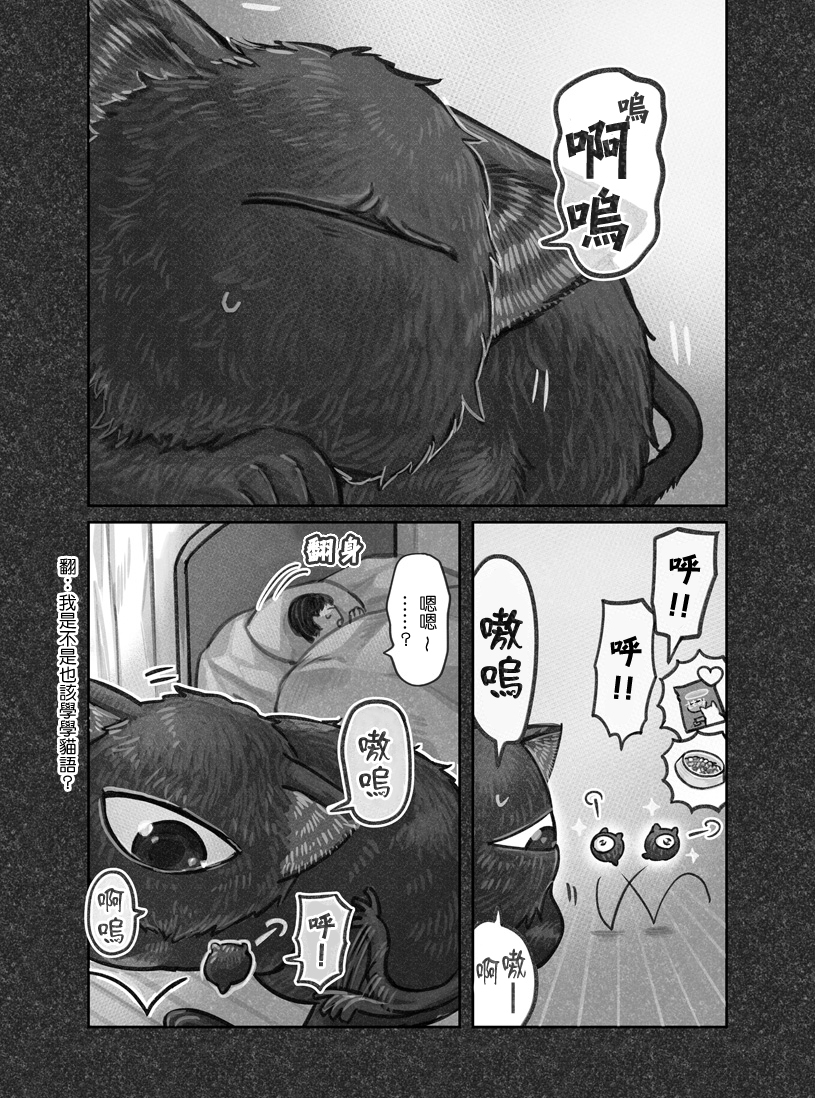 我捡了一只猫韩漫全集-第13话无删减无遮挡章节图片 