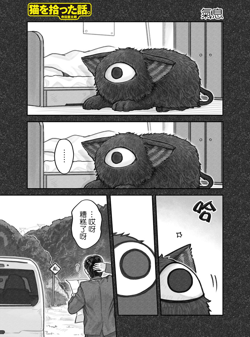 我捡了一只猫韩漫全集-第19话无删减无遮挡章节图片 