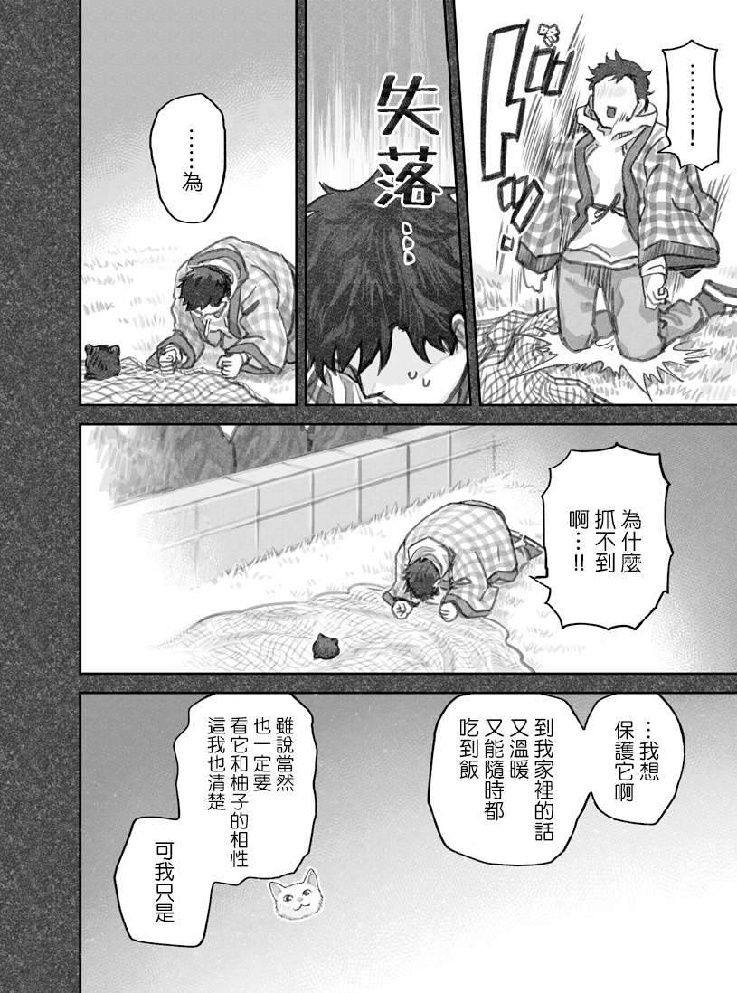 我捡了一只猫韩漫全集-第20话无删减无遮挡章节图片 