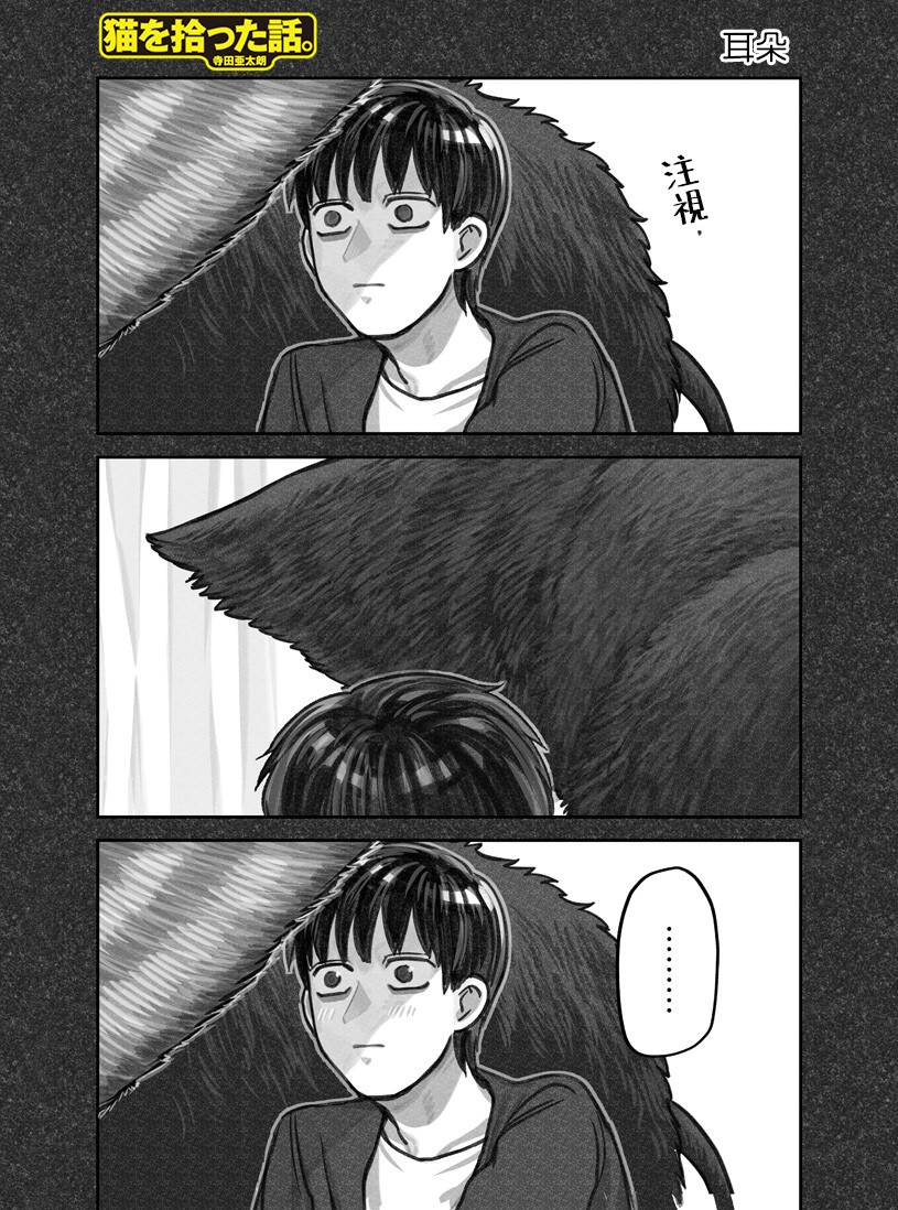 我捡了一只猫韩漫全集-第23话无删减无遮挡章节图片 