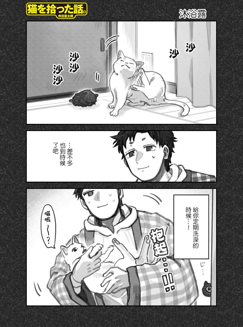 我捡了一只猫韩漫全集-第27话无删减无遮挡章节图片 