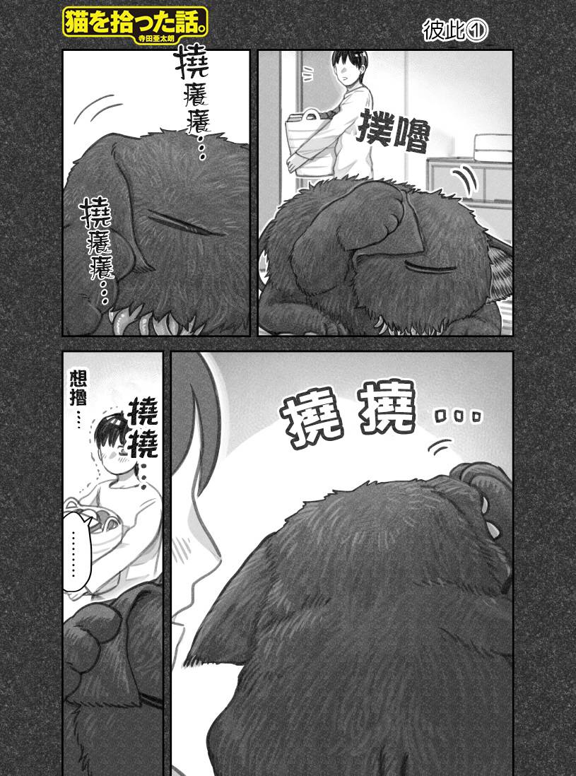 我捡了一只猫韩漫全集-第29话无删减无遮挡章节图片 