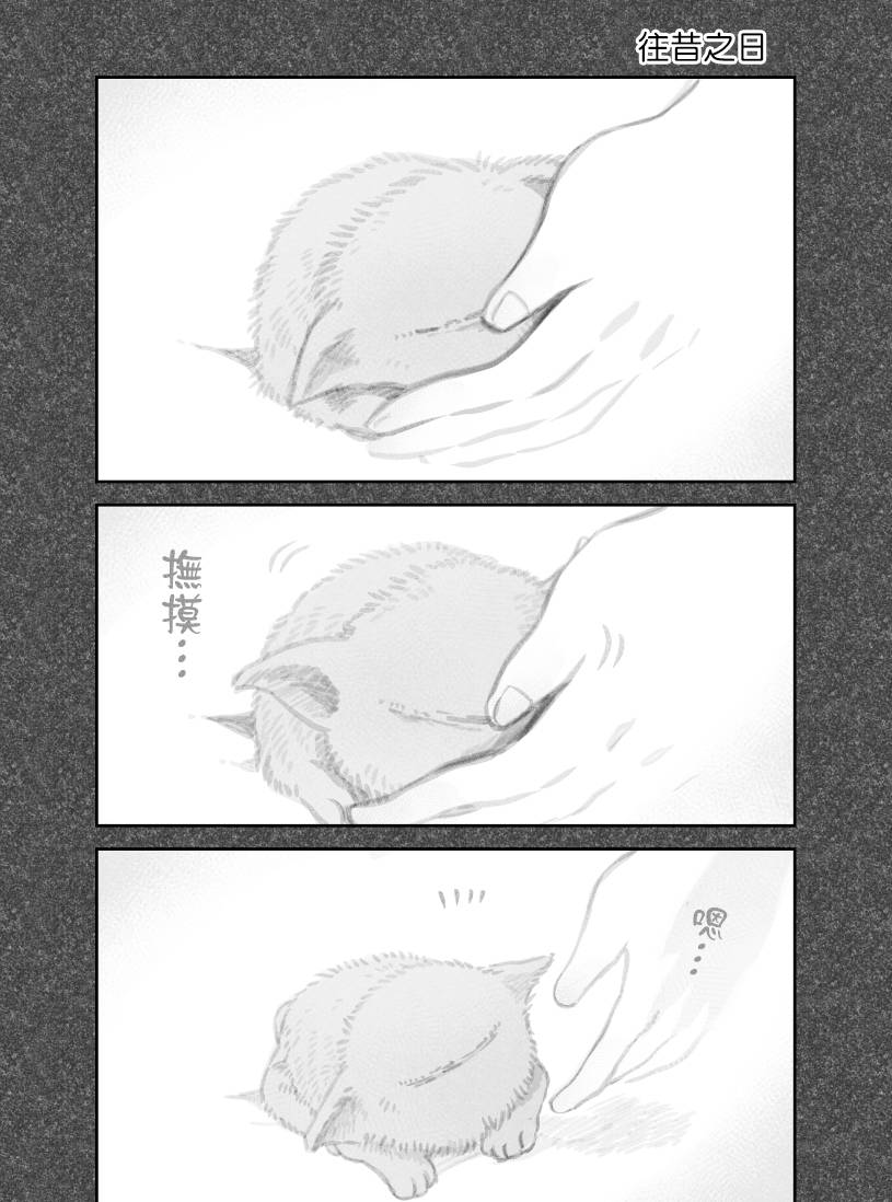 我捡了一只猫韩漫全集-第29话无删减无遮挡章节图片 