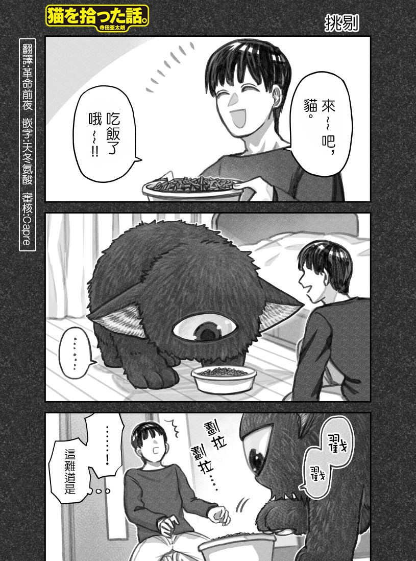 我捡了一只猫韩漫全集-第33话无删减无遮挡章节图片 