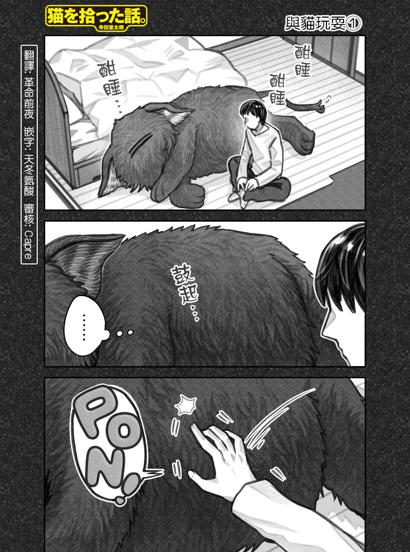 我捡了一只猫韩漫全集-第39话无删减无遮挡章节图片 