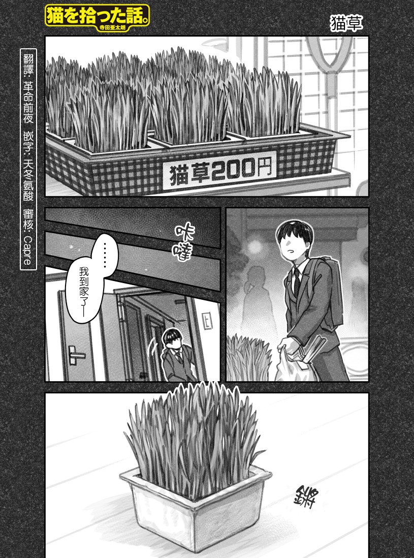 我捡了一只猫韩漫全集-第40话无删减无遮挡章节图片 