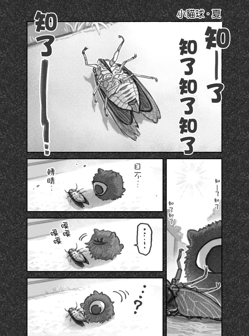 我捡了一只猫韩漫全集-推特连载02无删减无遮挡章节图片 