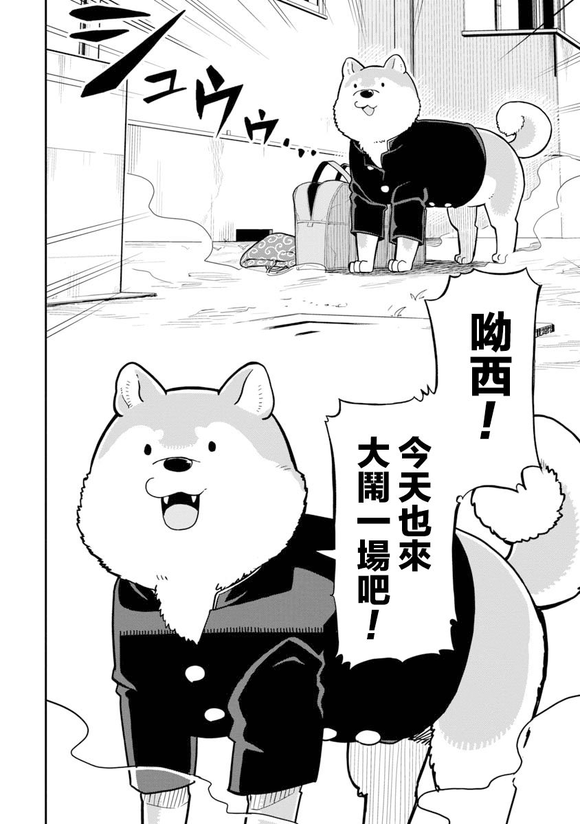 狼仔君敌不过早川同学韩漫全集-第01话无删减无遮挡章节图片 