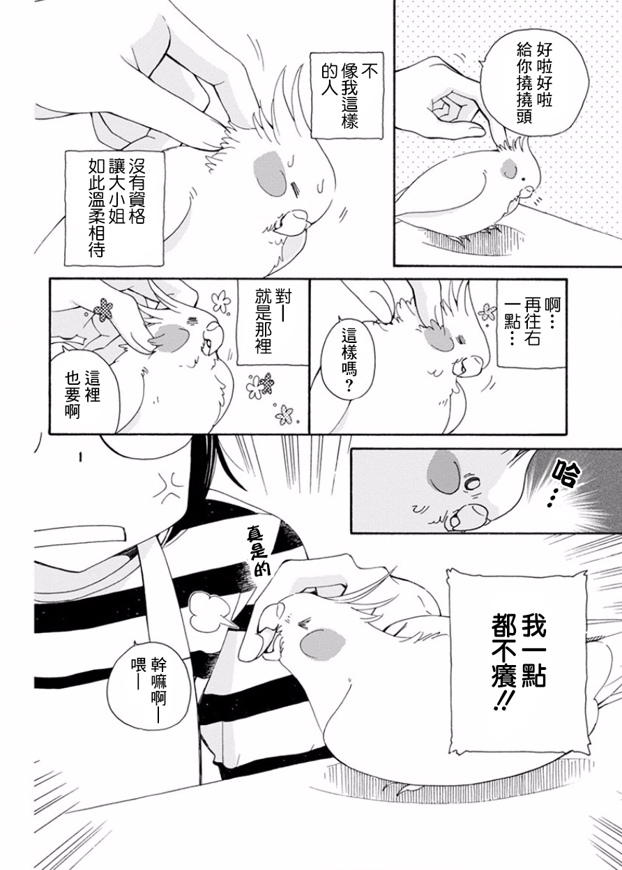 我是鹦鹉五十滋韩漫全集-番外2无删减无遮挡章节图片 