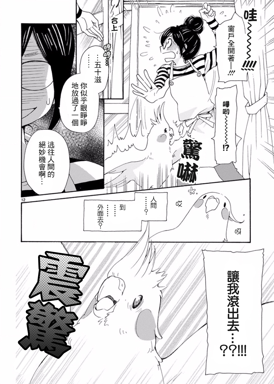 我是鹦鹉五十滋韩漫全集-番外2无删减无遮挡章节图片 
