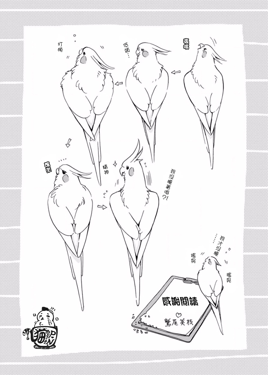 我是鹦鹉五十滋韩漫全集-番外2无删减无遮挡章节图片 