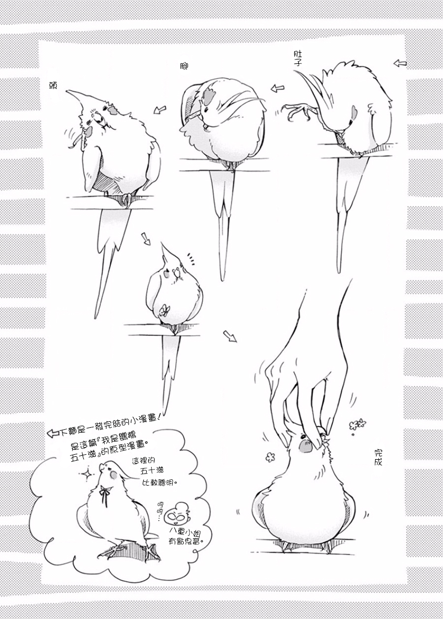 我是鹦鹉五十滋韩漫全集-番外2无删减无遮挡章节图片 