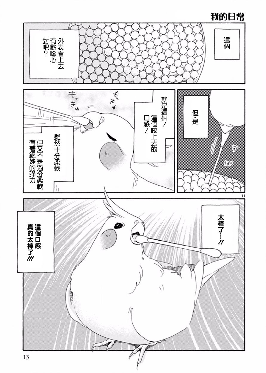 我是鹦鹉五十滋韩漫全集-第01话无删减无遮挡章节图片 