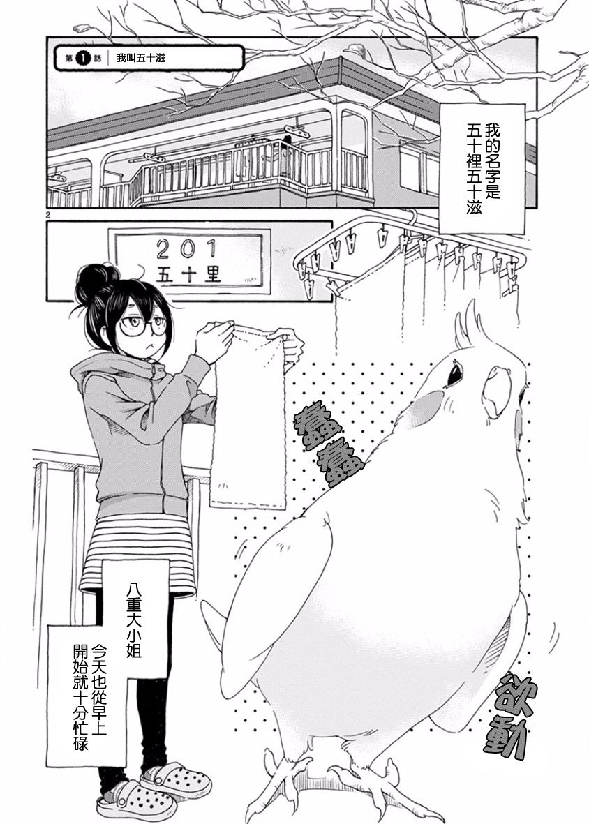 我是鹦鹉五十滋韩漫全集-第01话无删减无遮挡章节图片 