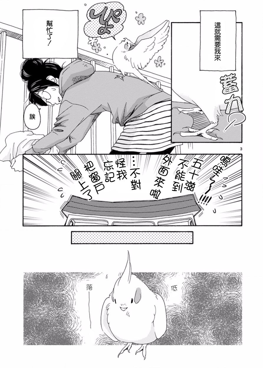 我是鹦鹉五十滋韩漫全集-第01话无删减无遮挡章节图片 