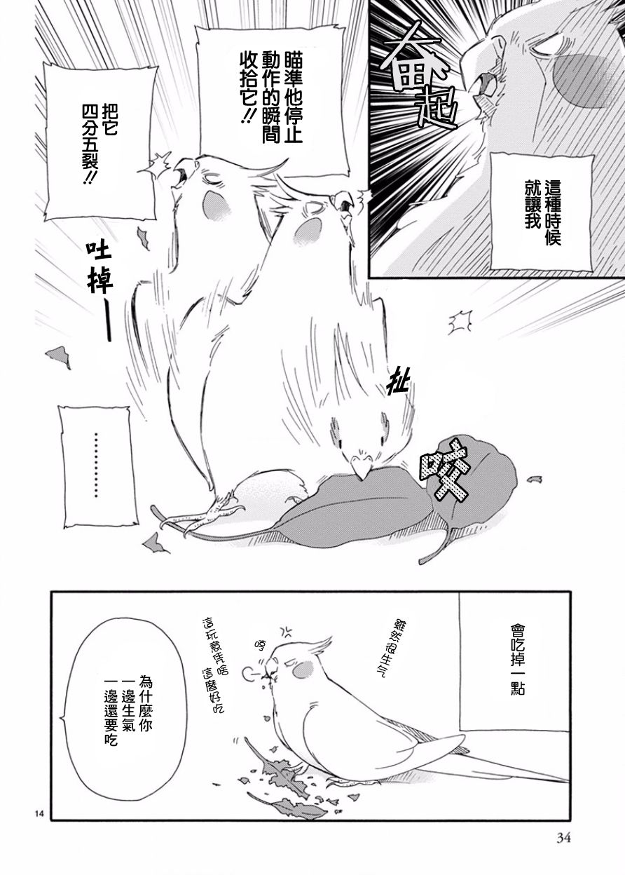 我是鹦鹉五十滋韩漫全集-第02话无删减无遮挡章节图片 