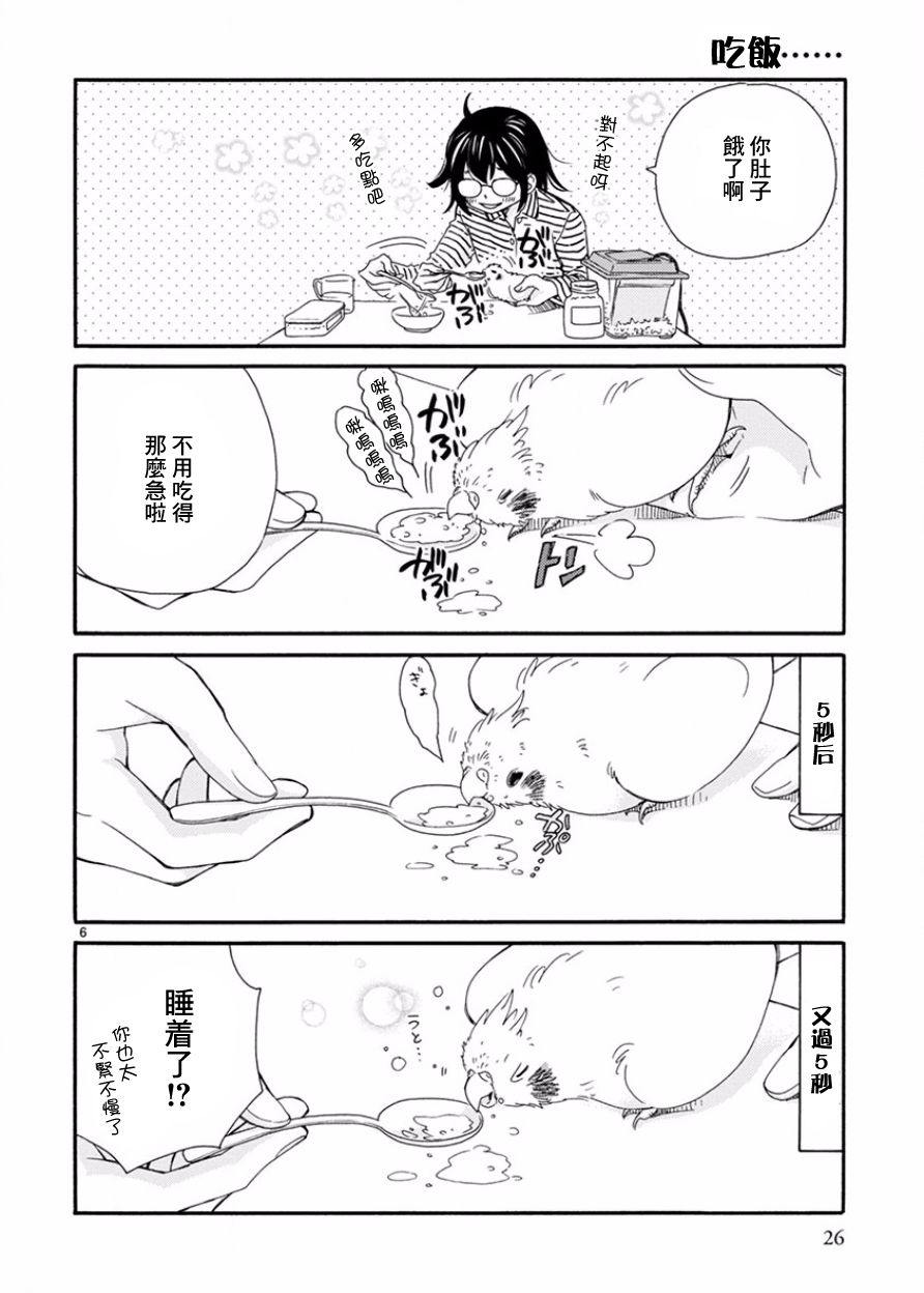 我是鹦鹉五十滋韩漫全集-第02话无删减无遮挡章节图片 