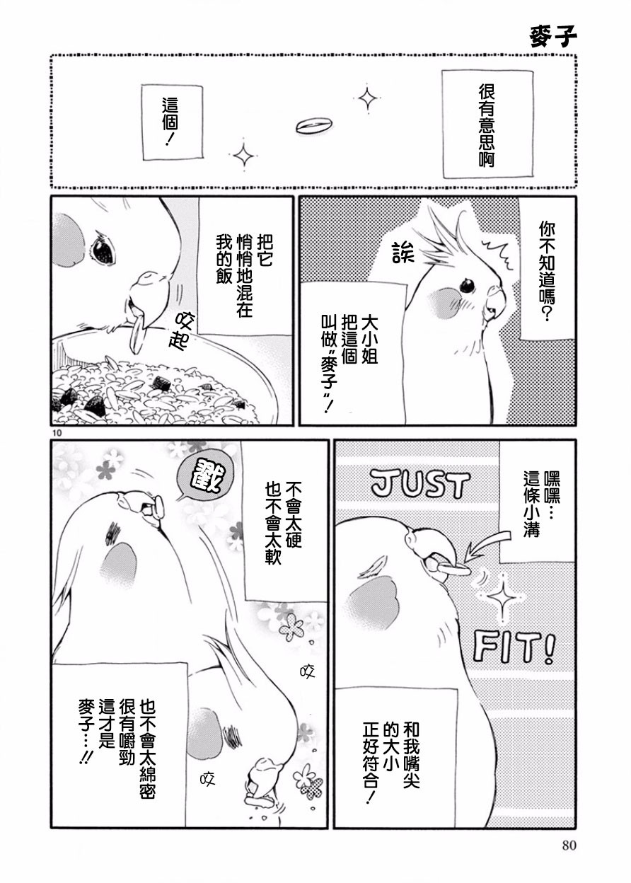 我是鹦鹉五十滋韩漫全集-第05话无删减无遮挡章节图片 