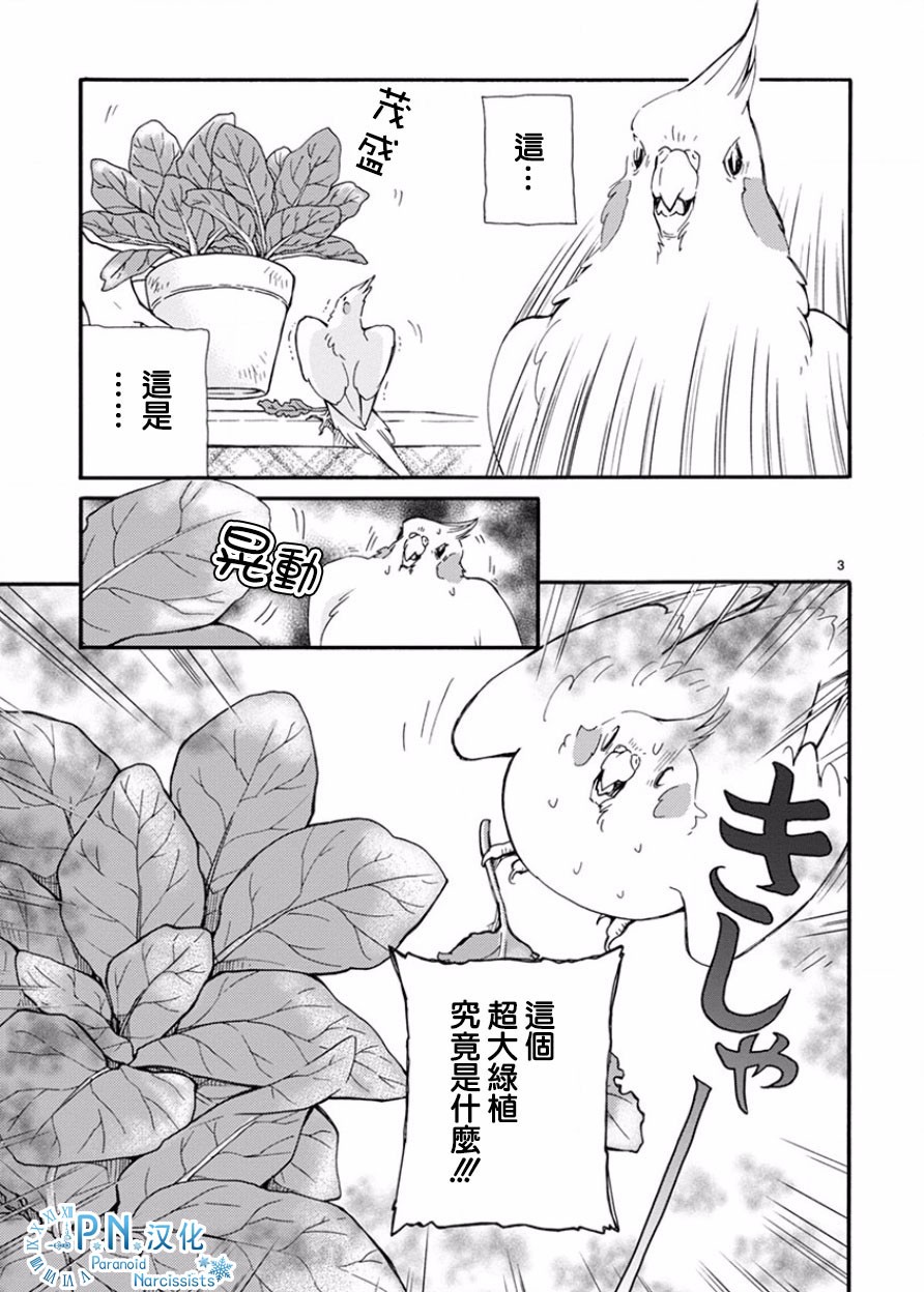 我是鹦鹉五十滋韩漫全集-第05话无删减无遮挡章节图片 