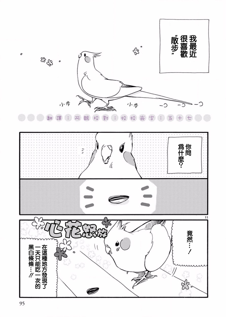 我是鹦鹉五十滋韩漫全集-第06话无删减无遮挡章节图片 