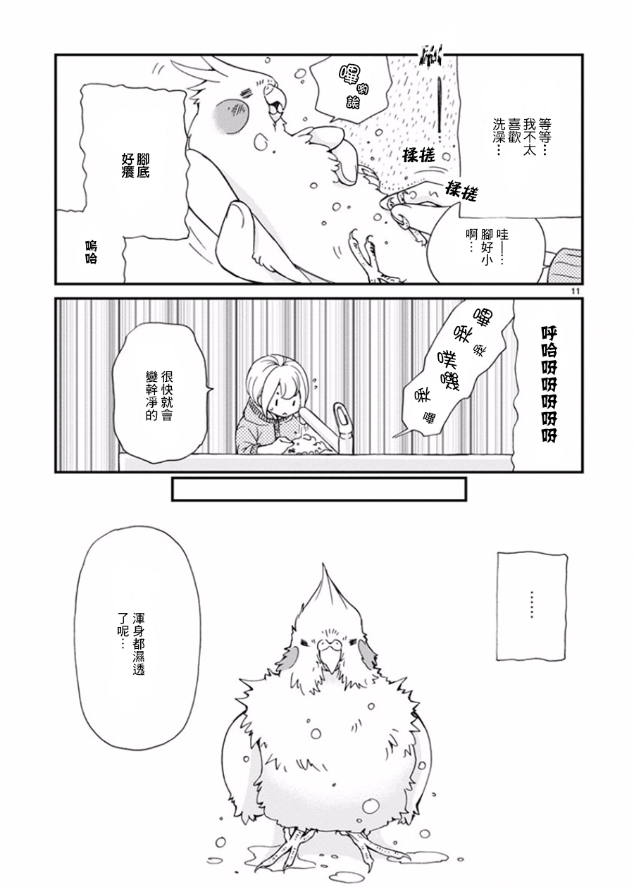 我是鹦鹉五十滋韩漫全集-第11话无删减无遮挡章节图片 