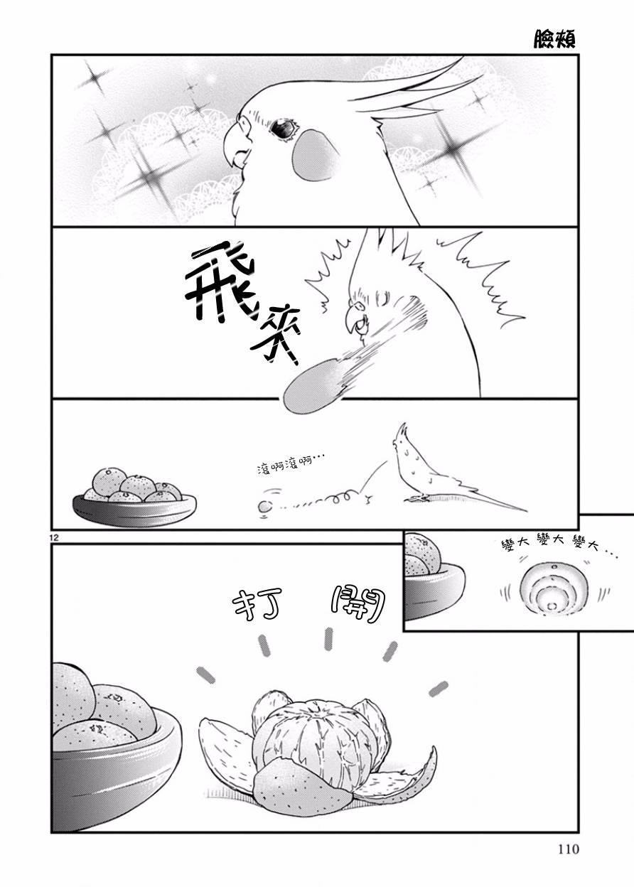 我是鹦鹉五十滋韩漫全集-第15话无删减无遮挡章节图片 