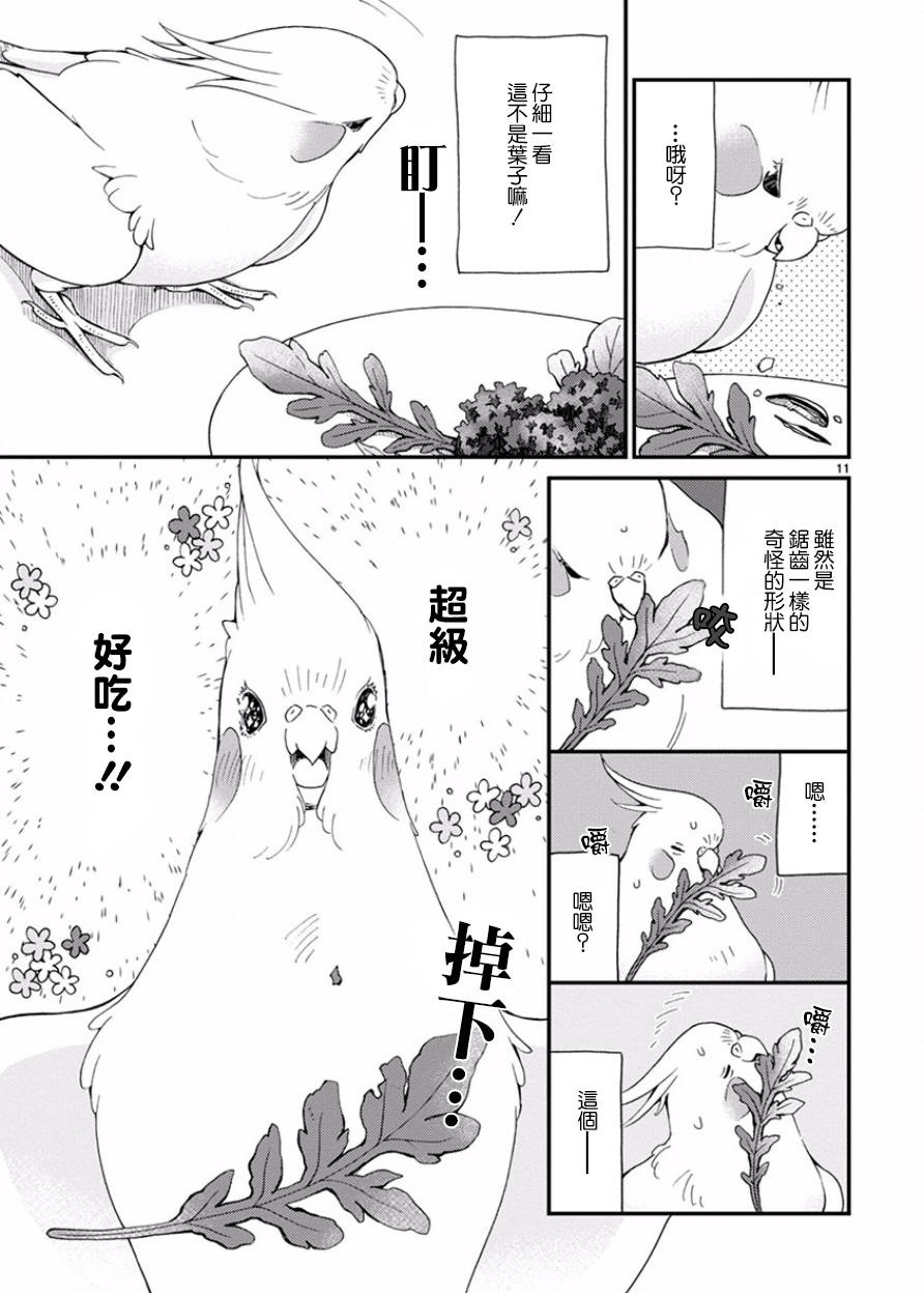 我是鹦鹉五十滋韩漫全集-第16话无删减无遮挡章节图片 