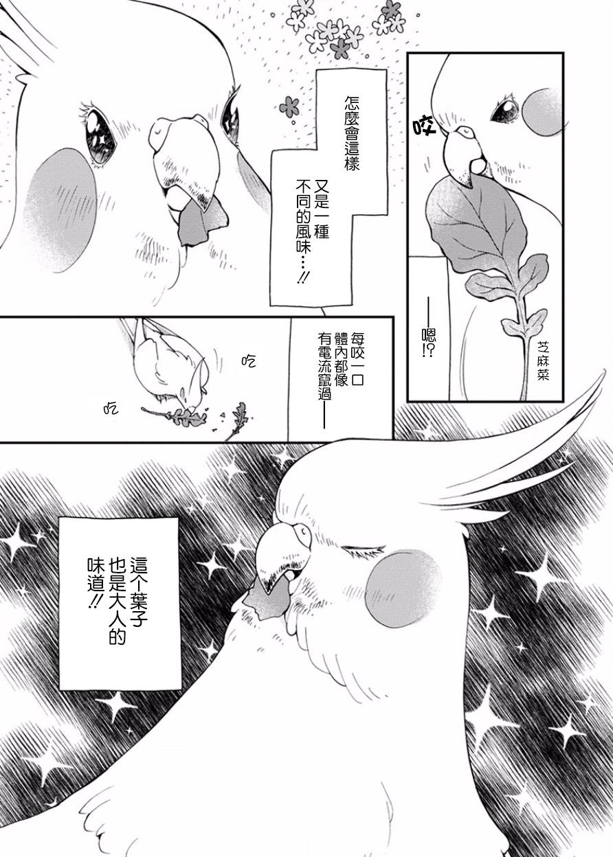我是鹦鹉五十滋韩漫全集-第16话无删减无遮挡章节图片 