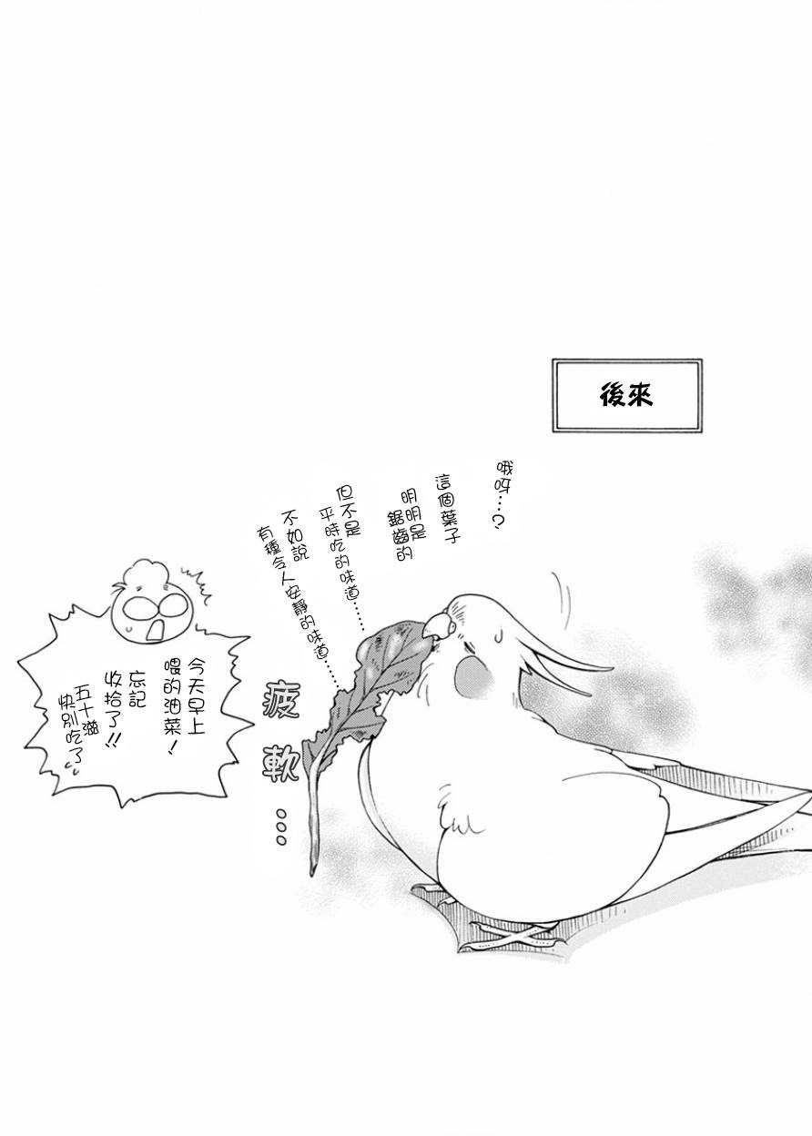 我是鹦鹉五十滋韩漫全集-第16话无删减无遮挡章节图片 