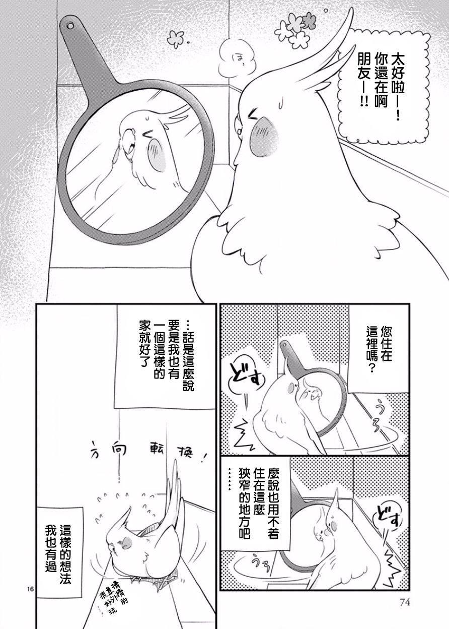 我是鹦鹉五十滋韩漫全集-第19话无删减无遮挡章节图片 