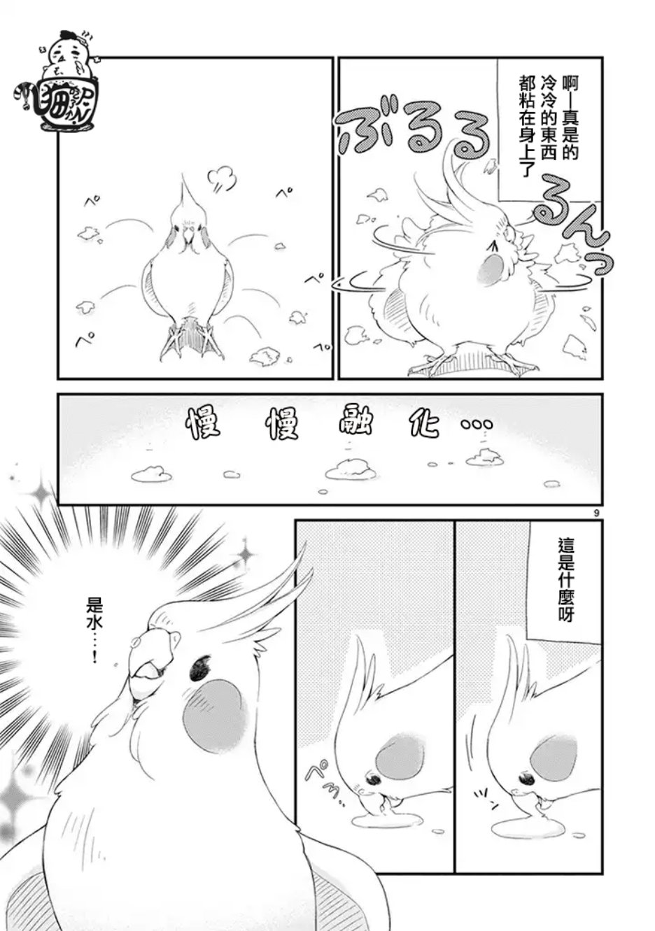 我是鹦鹉五十滋韩漫全集-第26话无删减无遮挡章节图片 