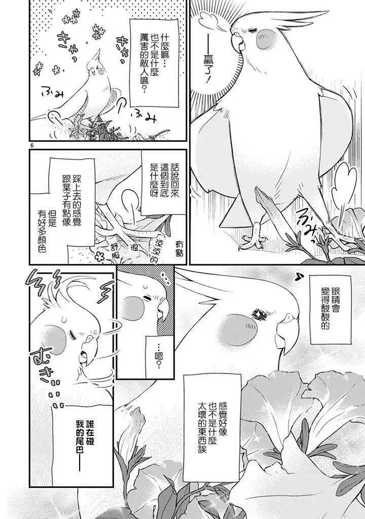 我是鹦鹉五十滋韩漫全集-第29话无删减无遮挡章节图片 