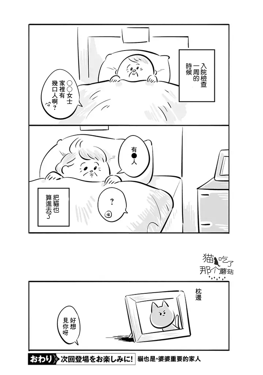 祖母与猫韩漫全集-第01话无删减无遮挡章节图片 