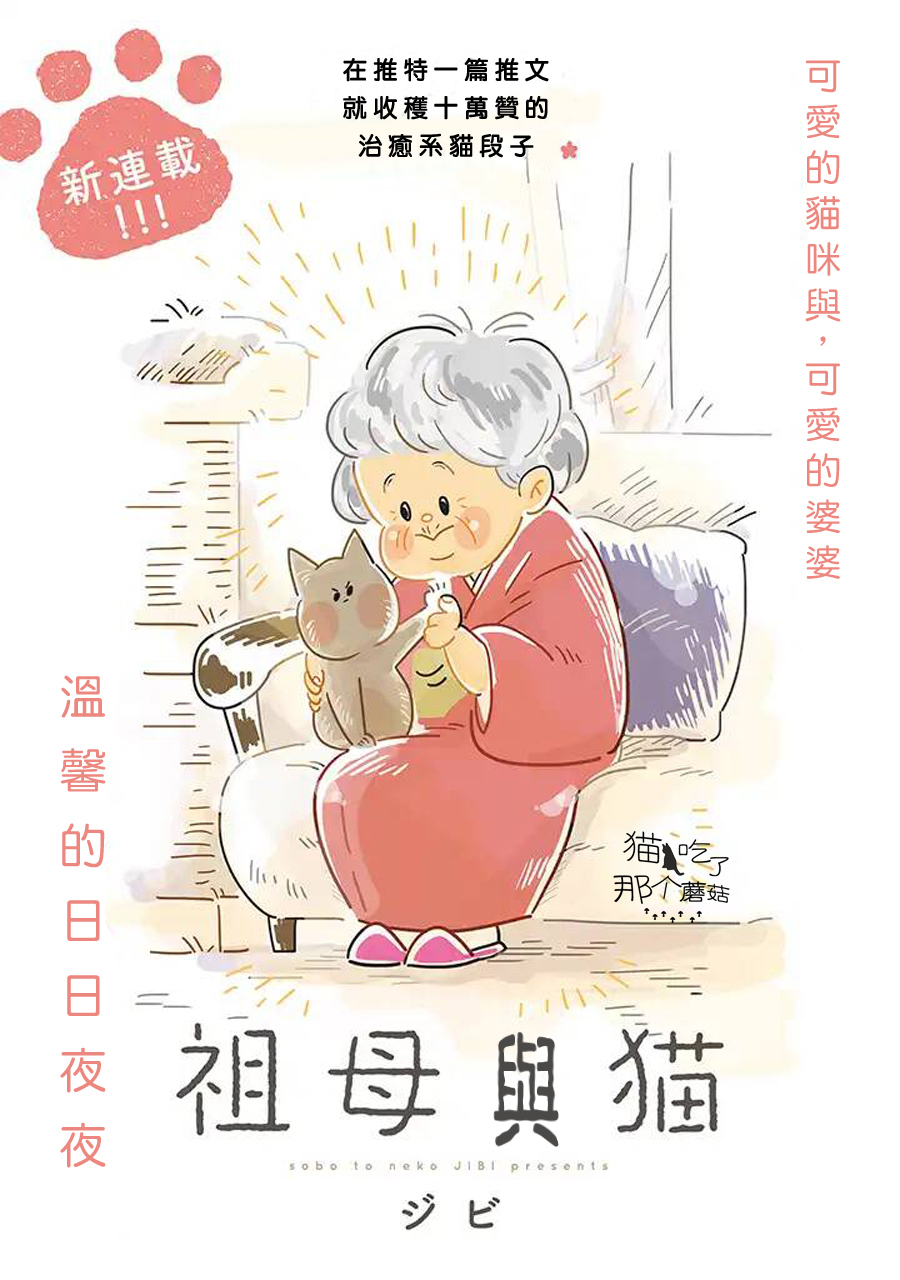祖母与猫韩漫全集-第01话无删减无遮挡章节图片 