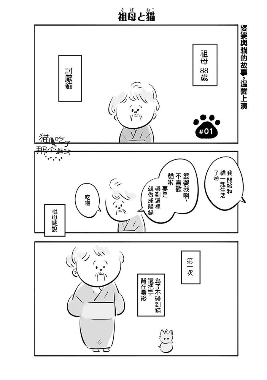 祖母与猫韩漫全集-第01话无删减无遮挡章节图片 