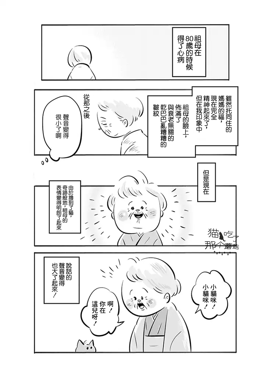 祖母与猫韩漫全集-第01话无删减无遮挡章节图片 