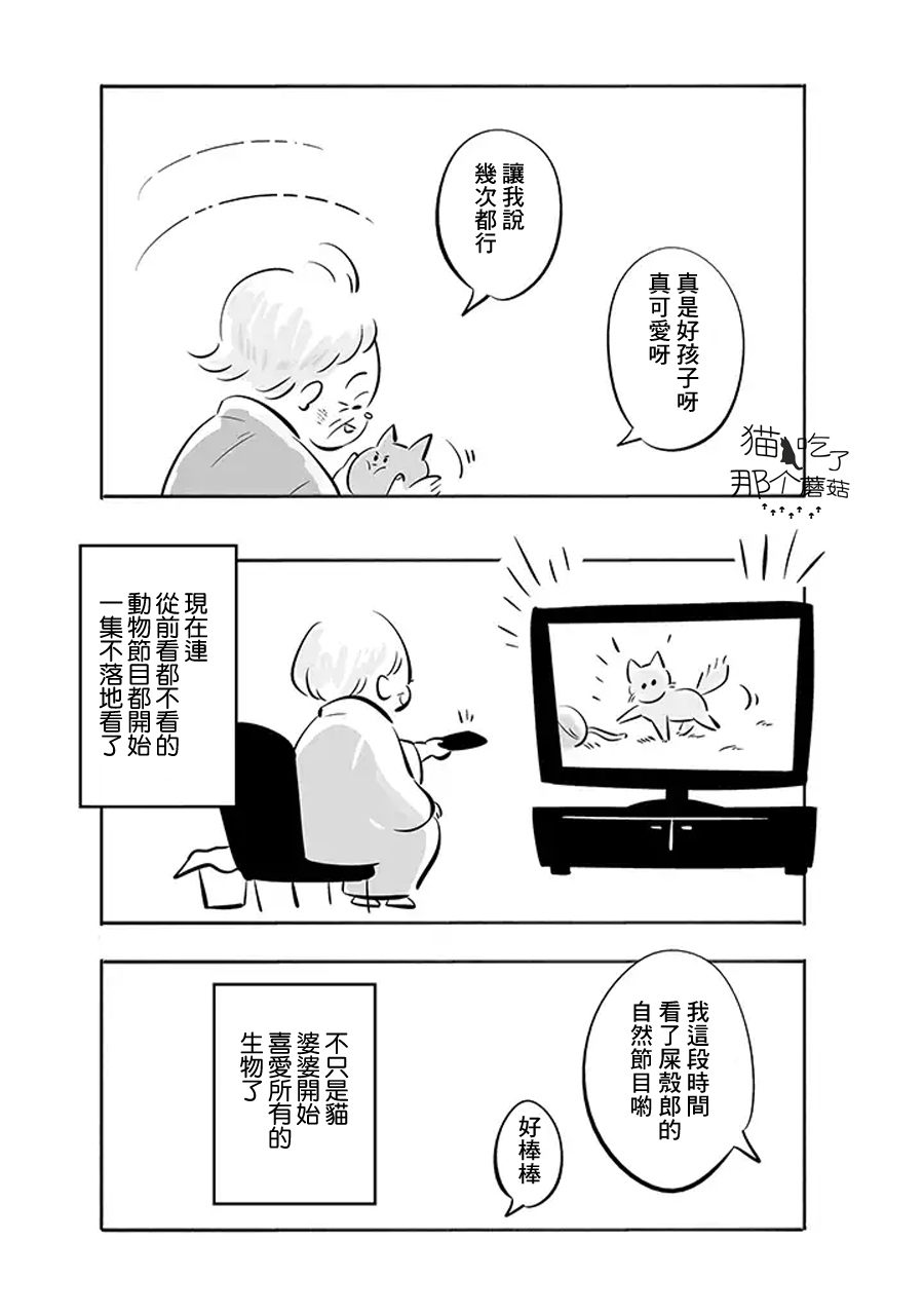 祖母与猫韩漫全集-第01话无删减无遮挡章节图片 