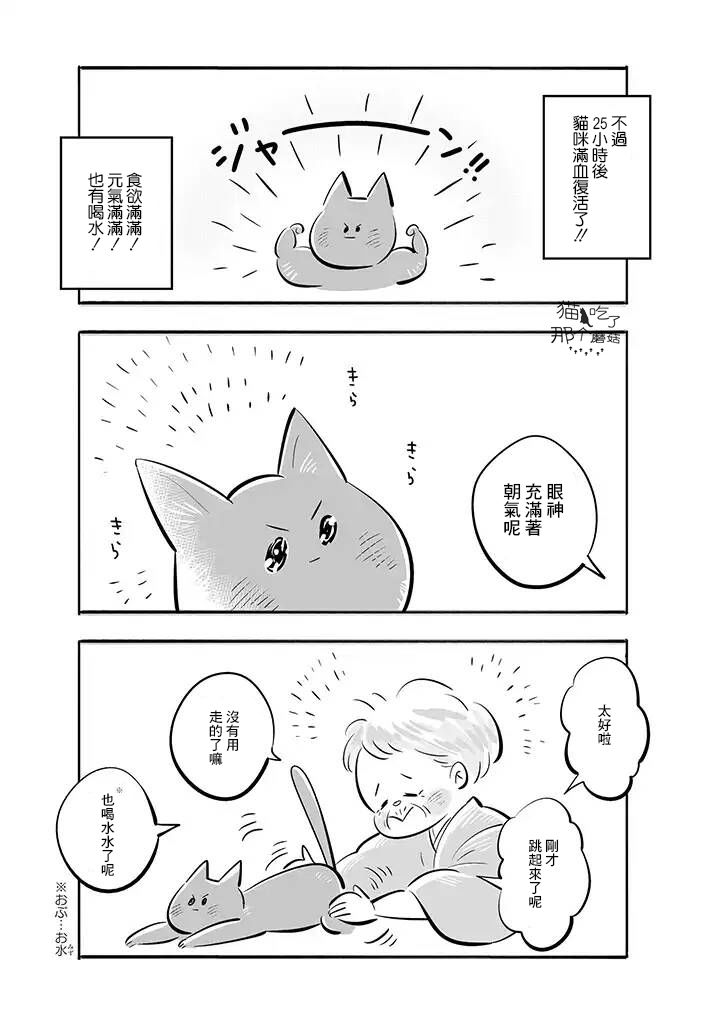 祖母与猫韩漫全集-第03话无删减无遮挡章节图片 