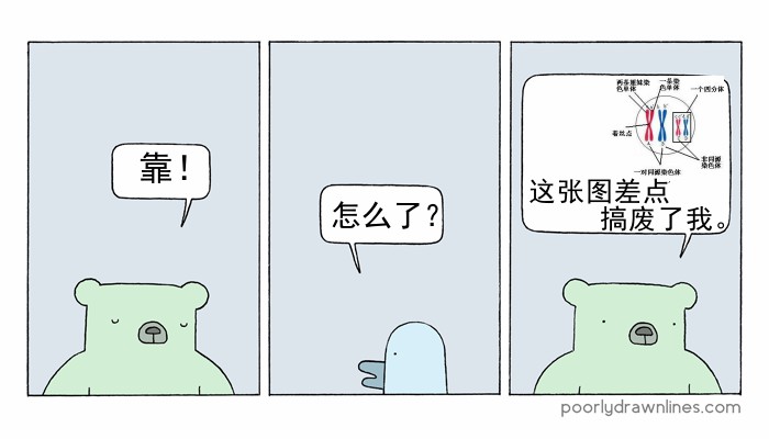 Poorly Drawn Lines韩漫全集-第05话无删减无遮挡章节图片 