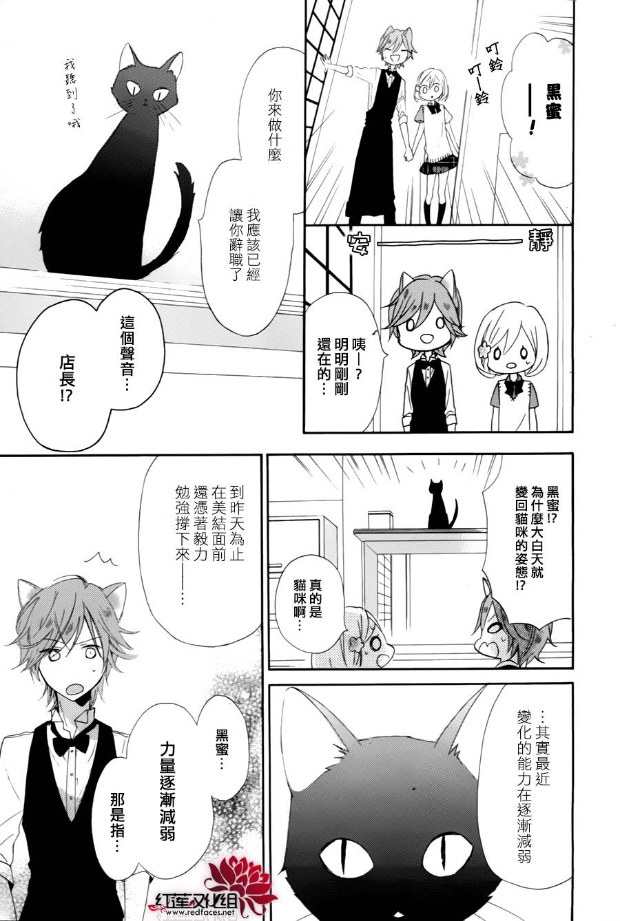 猫咖啡黑蜜灯韩漫全集-前篇无删减无遮挡章节图片 