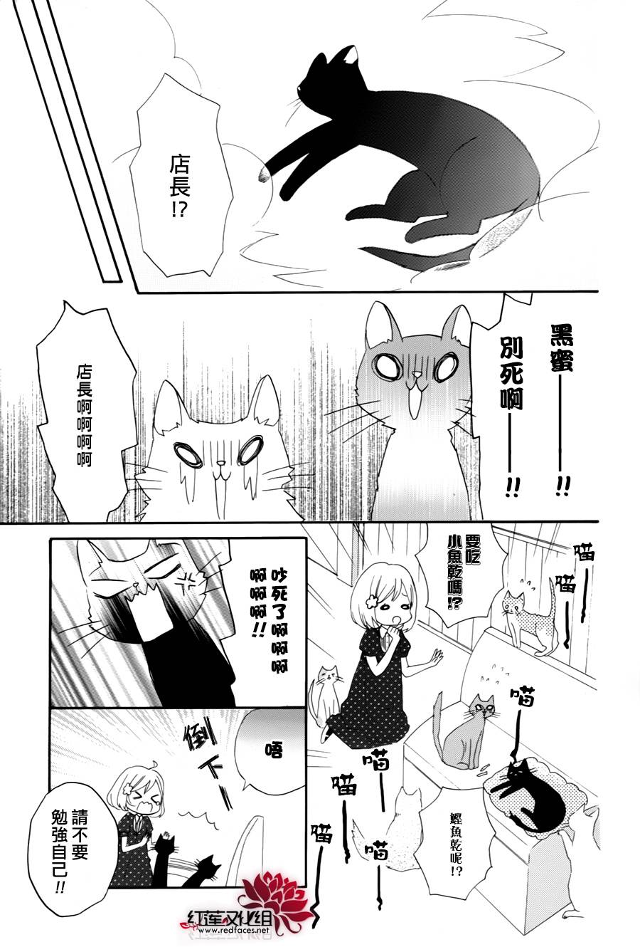 猫咖啡黑蜜灯韩漫全集-前篇无删减无遮挡章节图片 